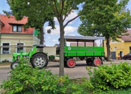 Steak statt Grünkohl